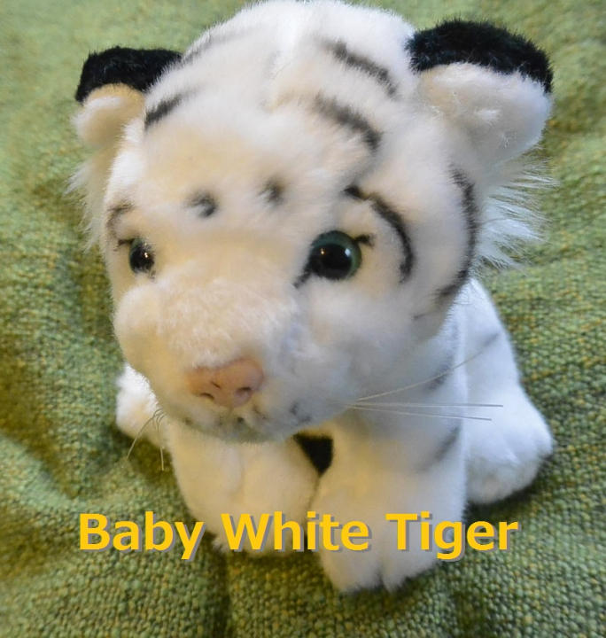 メルカリ baby white tiger 赤ちゃん ホワイトタイガー 20cm