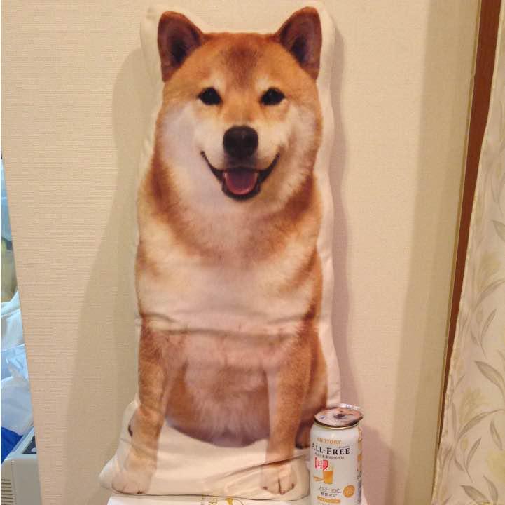 【新品◇再入荷】☆ 柴犬まるたろう まる じゃまかわいいクッション ☆