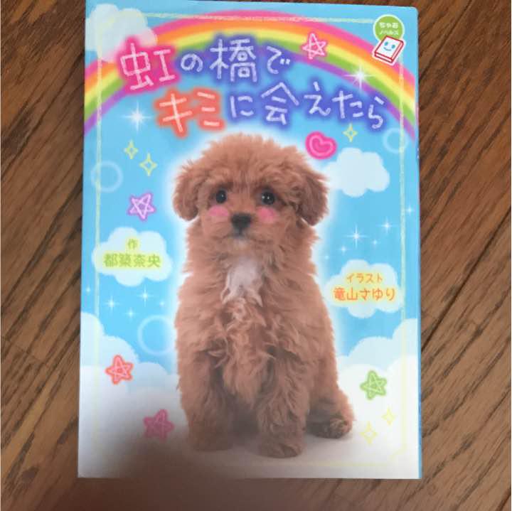 虹の橋でキミに会えたら
