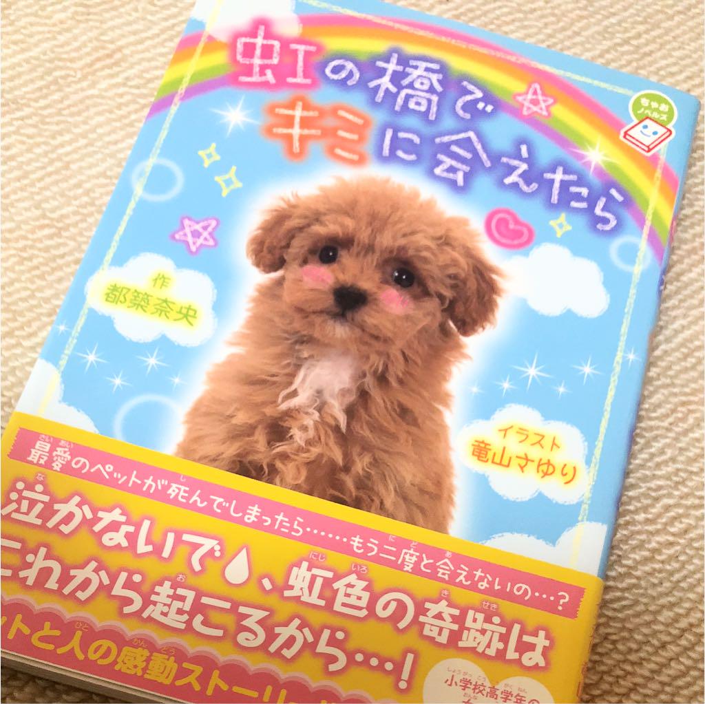 虹の橋でキミに会えたら