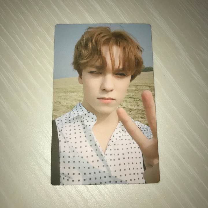 vernon follow pc