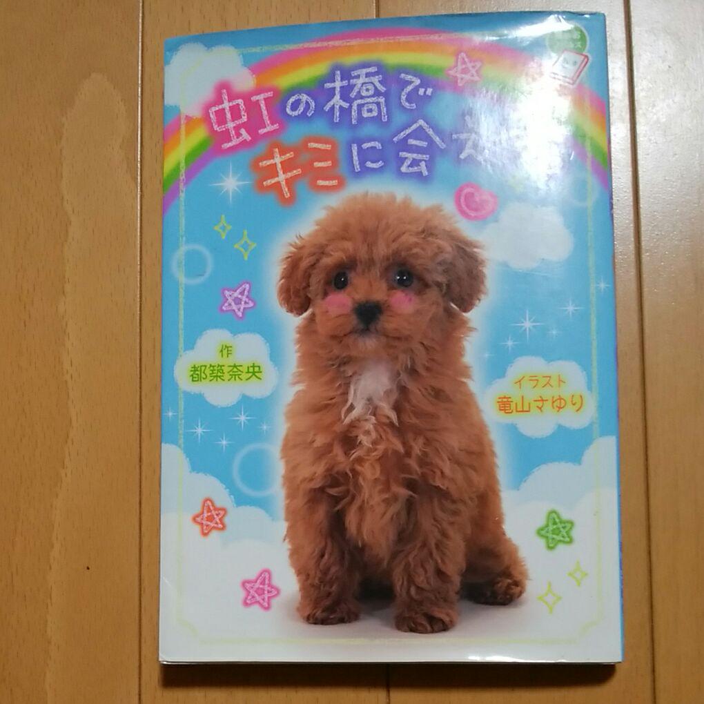 虹の橋でキミに会えたら