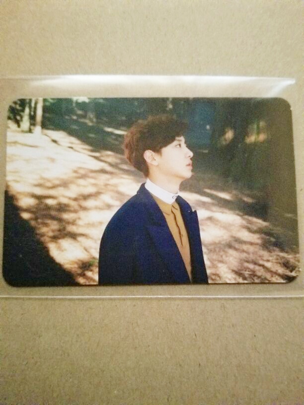 Chanyeol photocard