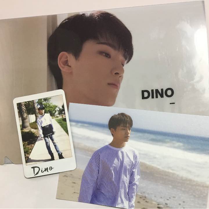 Dino clear file & cards set