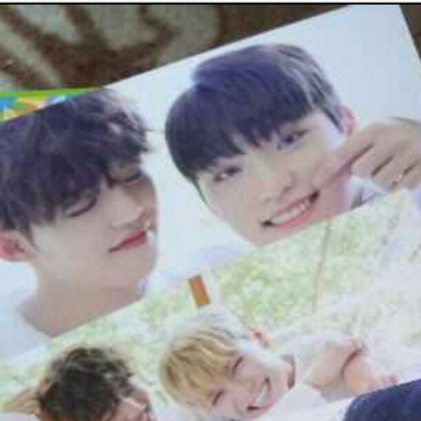 S.Coups Dino and Vernon Trading Card