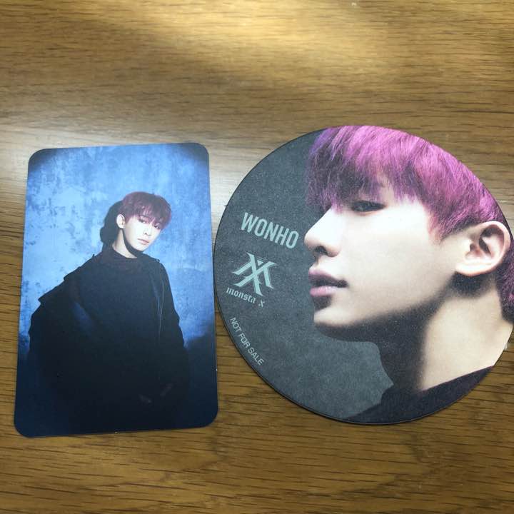 Wonho Coaster