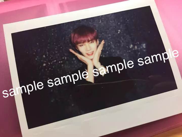 Polaroid