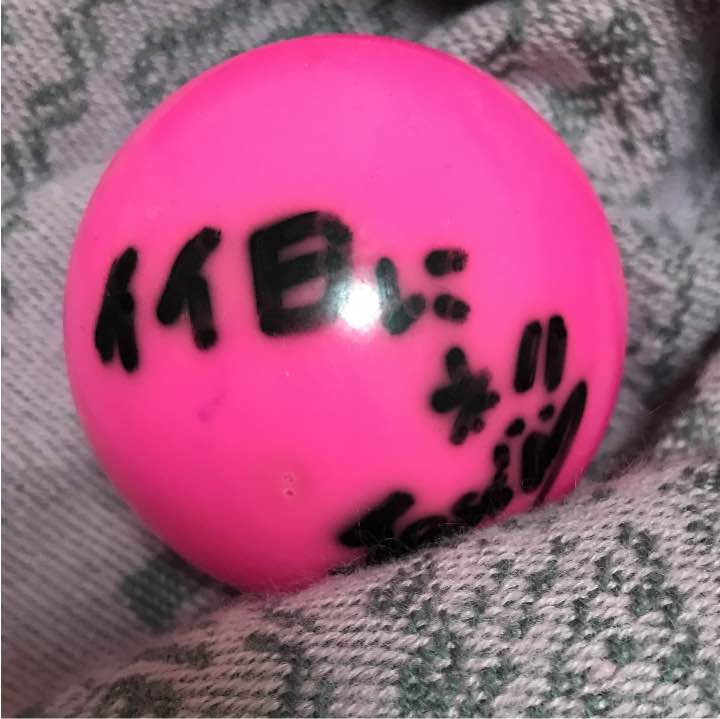 Jessica Signed ball
