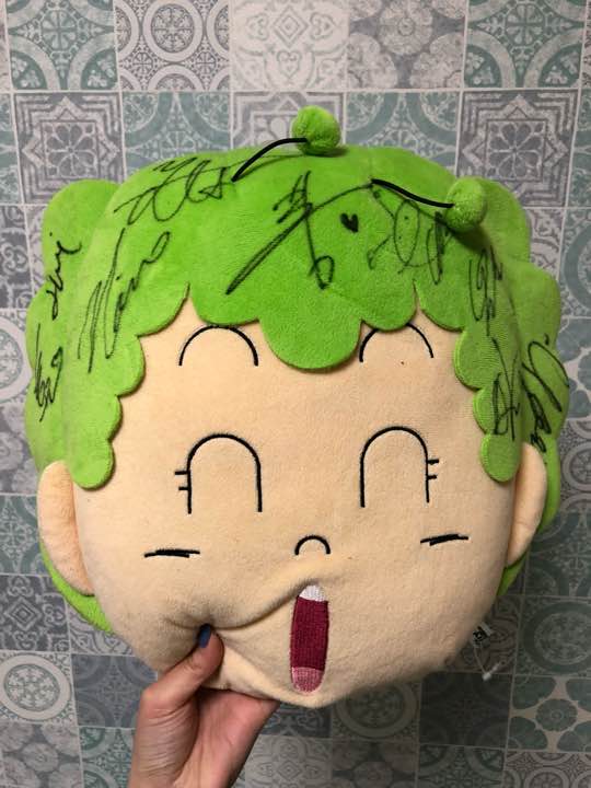 Signed Pillow