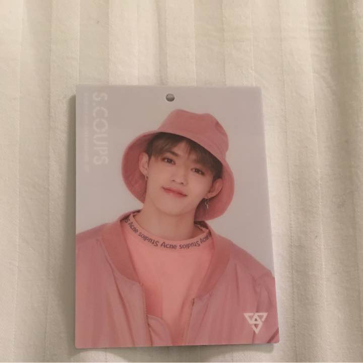 Japan Arena Tour 2018 S.Coups Pink