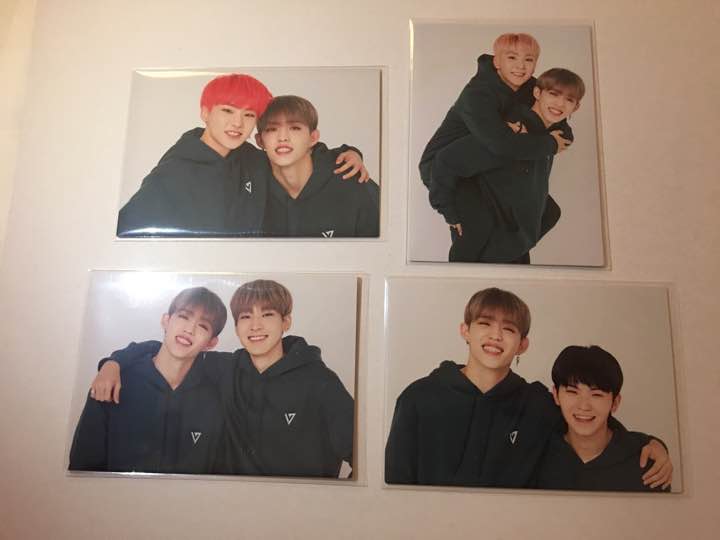 Japan Arena Tour 2018 S.Coups and other members