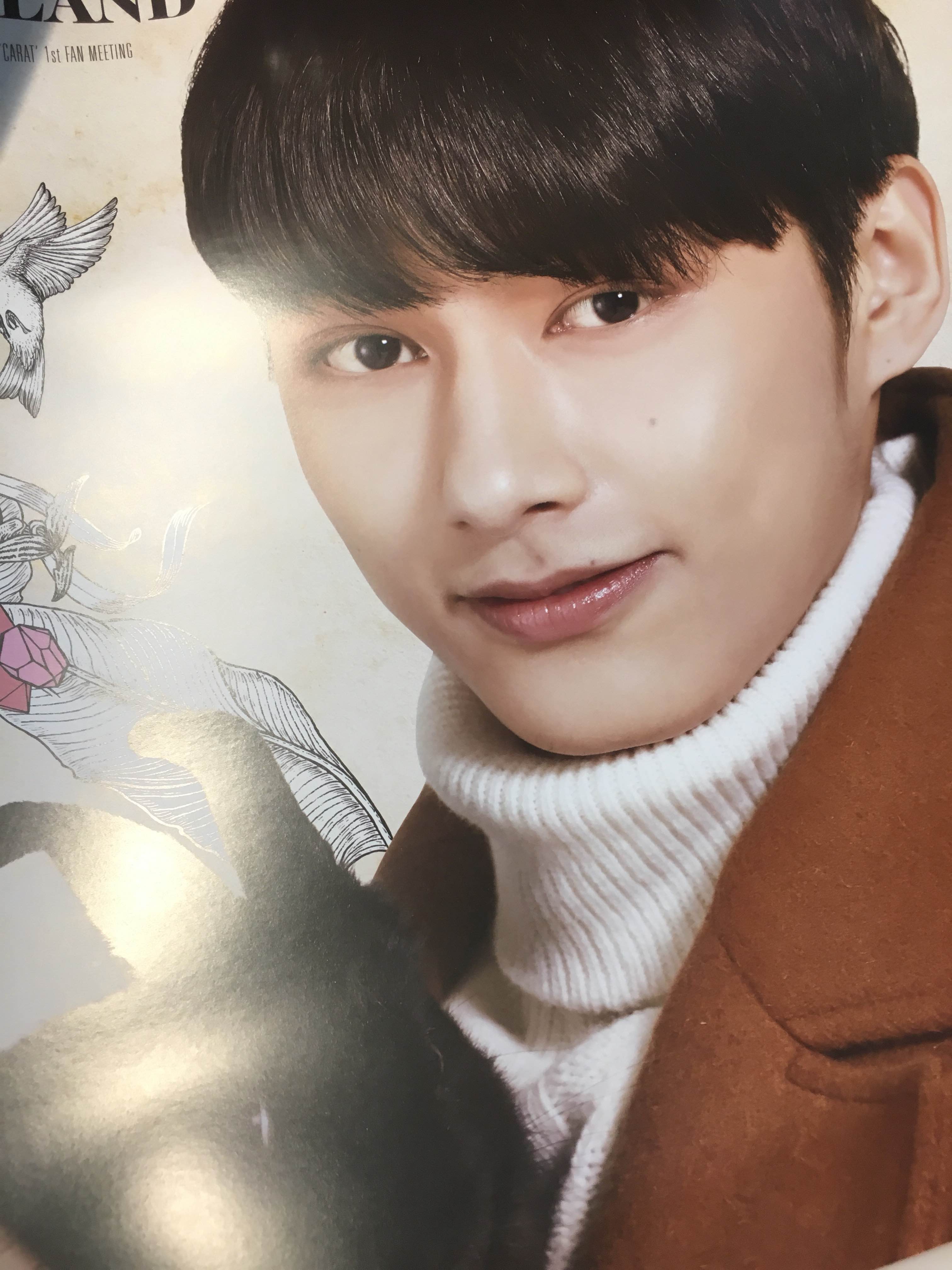 Carat land Jun poster