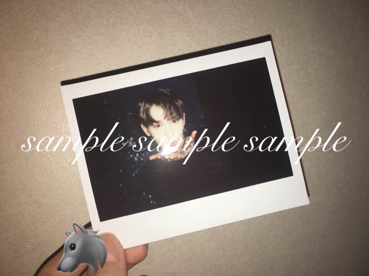 bs polaroid