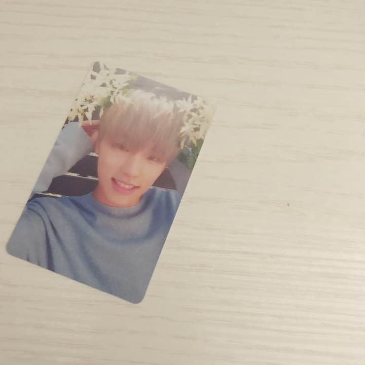 Dino White pc