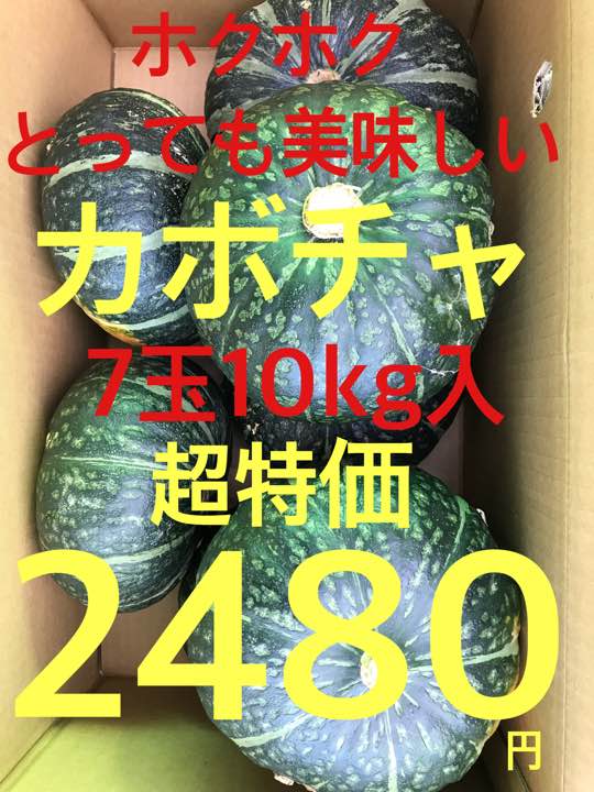 ❣️ホクホクとっても美味しい南瓜7玉入10kg❣️超特価2480円❣️送料下記