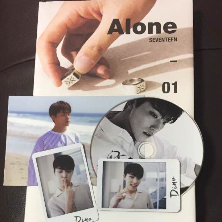 Dino set