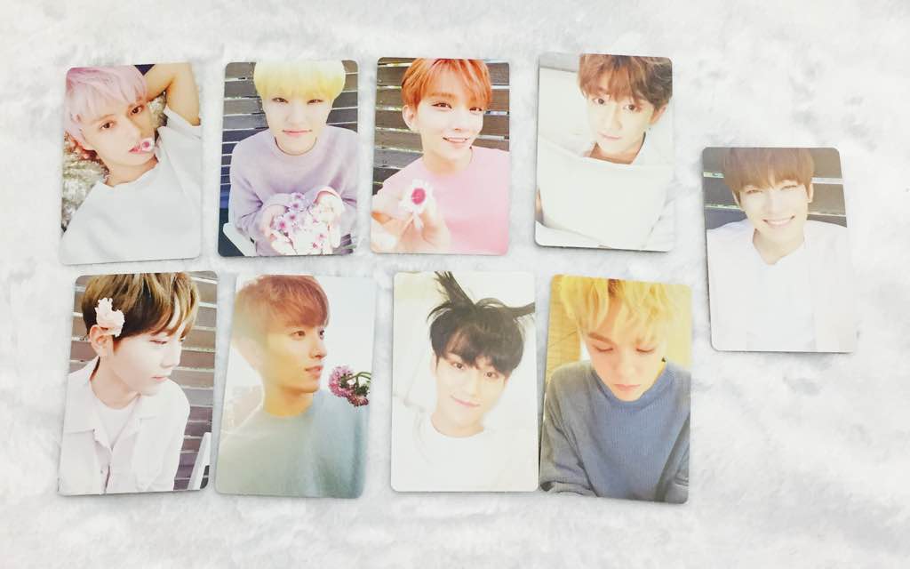 white album + mingyu