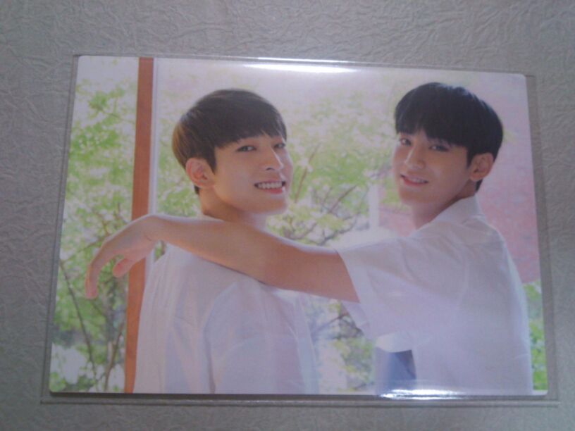 Mingyu Wonwoo Saitama Trading Card