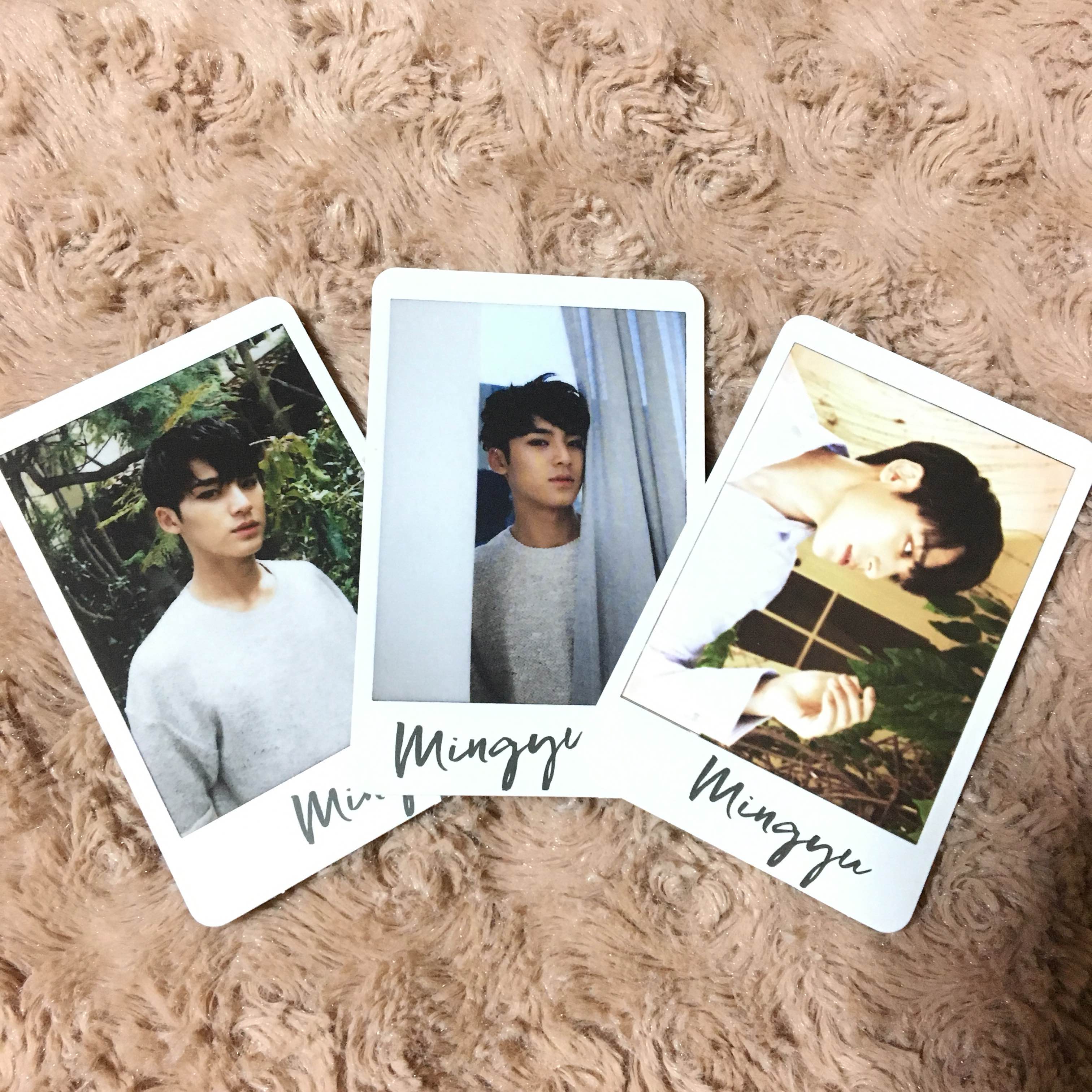 Mingyu Photocard Set