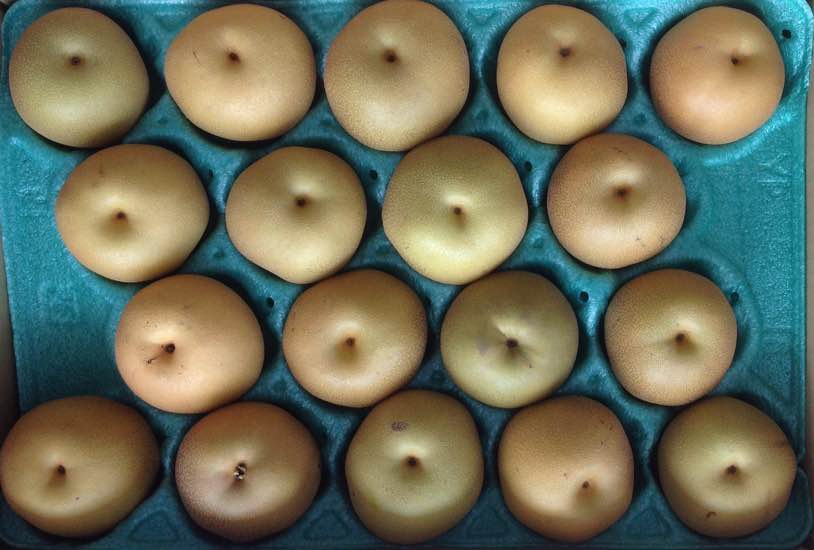 ジュンコ様専用ページ     増し送料として300円