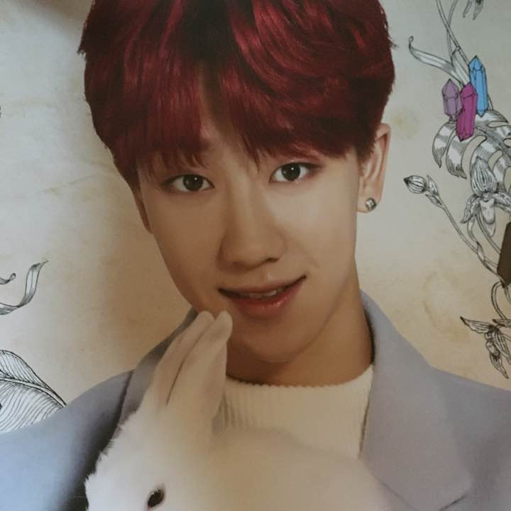 Carat Land Minghao poster