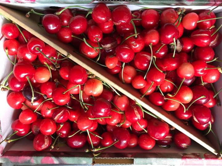 â¼ï¸ãå¾å±±å½¢ç£è¨³ãããµã¯ã©ã³ãâ£ï¸ç´
ãããâ£ï¸1Kgè¶
ç¹ä¾¡1780åâ¼ï¸éæä¸è¨