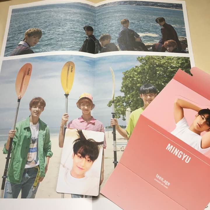 Mingyu Set