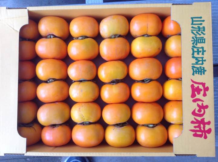 山形産[庄内平種無し柿](渋抜き済)約5k[地域限定送料込]超特価1680円