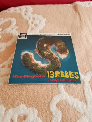 13 Pebbles 〜Single Collection〜 – ZIAP