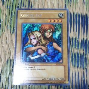 遊戯王 アジア ヂェミナイエルフ シク